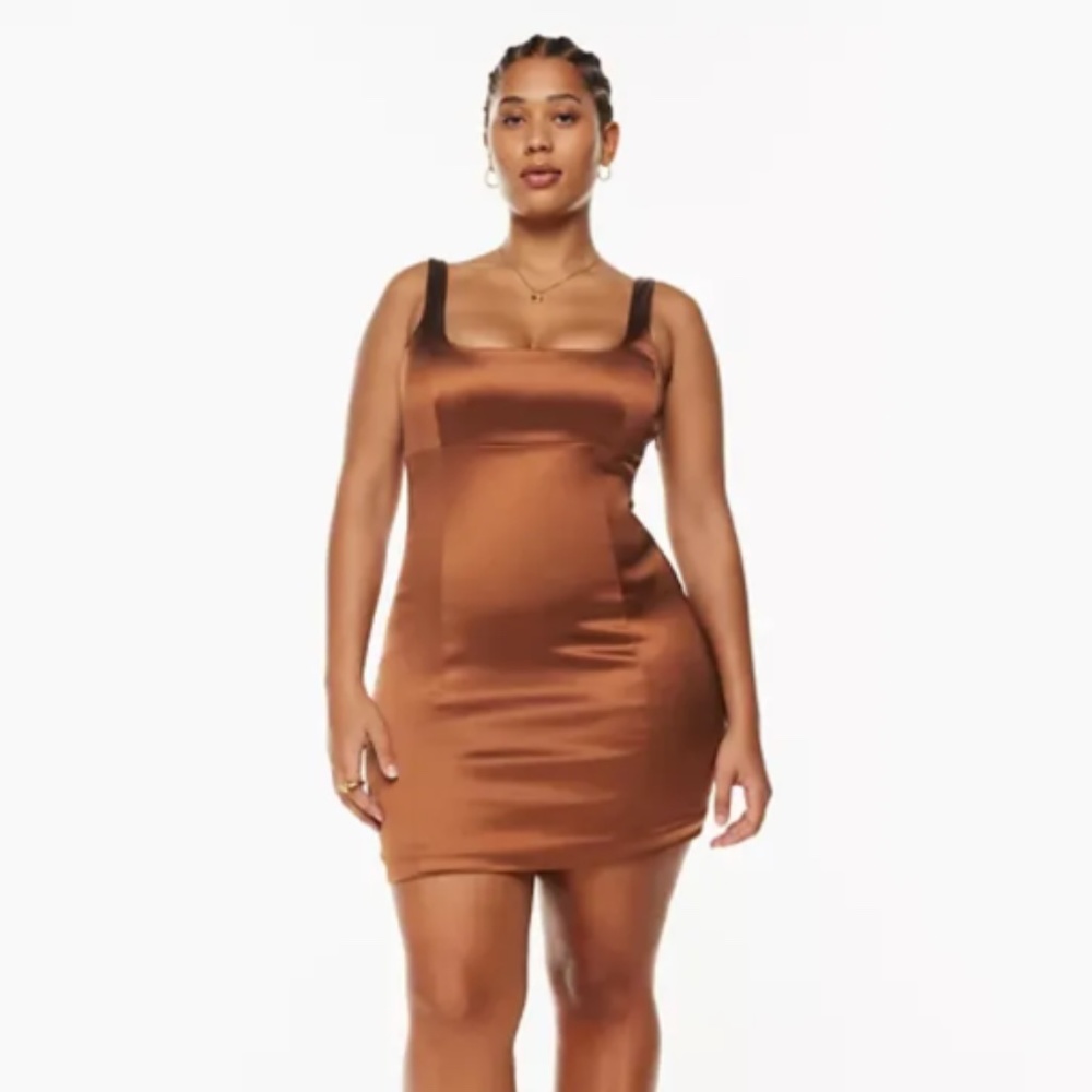 NWT Aritzia Wilfred Shine Dress